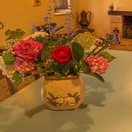 Scenic In Le Marche Hébergement de vacances Monte San Martino